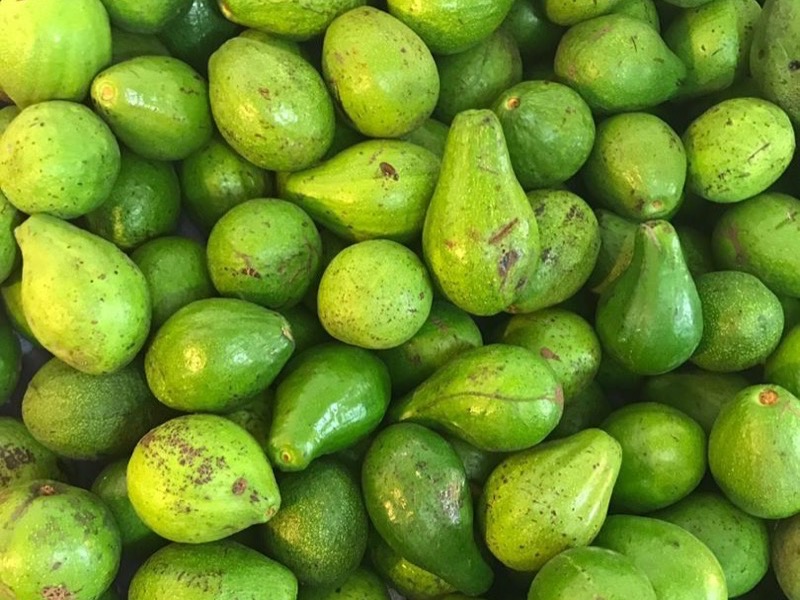 Seasonal Produce