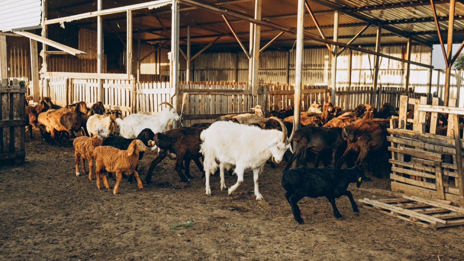 Integrated farming project