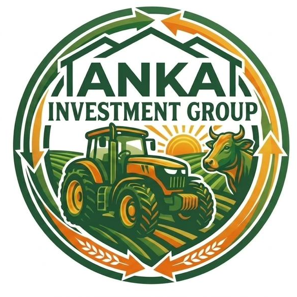 Anka Investment Group logo