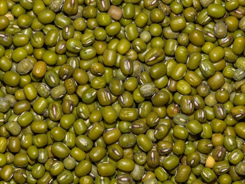 Green Mung Bean