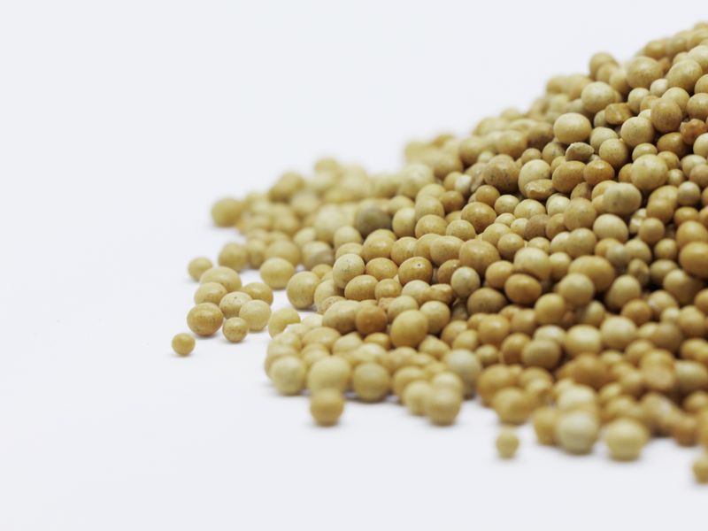 White Pea Beans