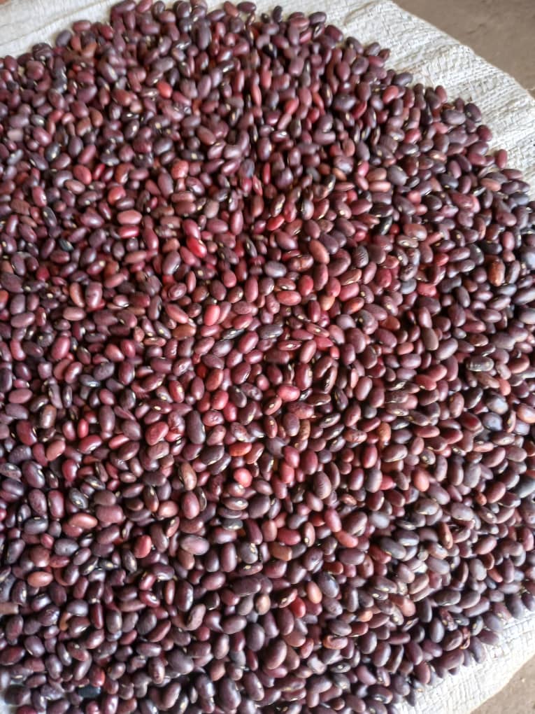 Red kidney beans