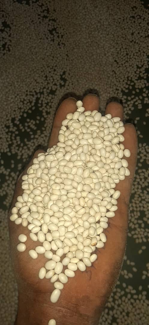 White pea beans